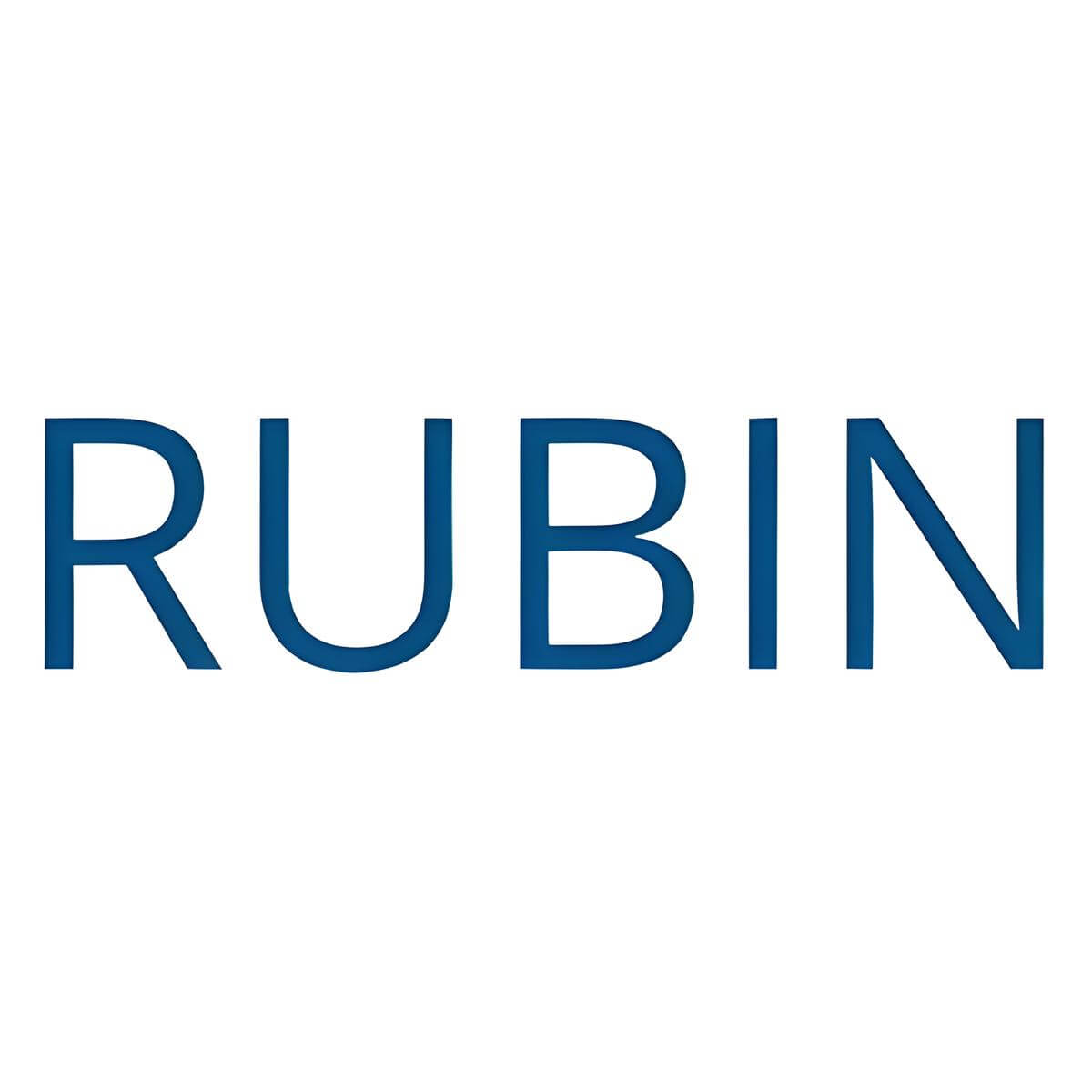 Rubin Education