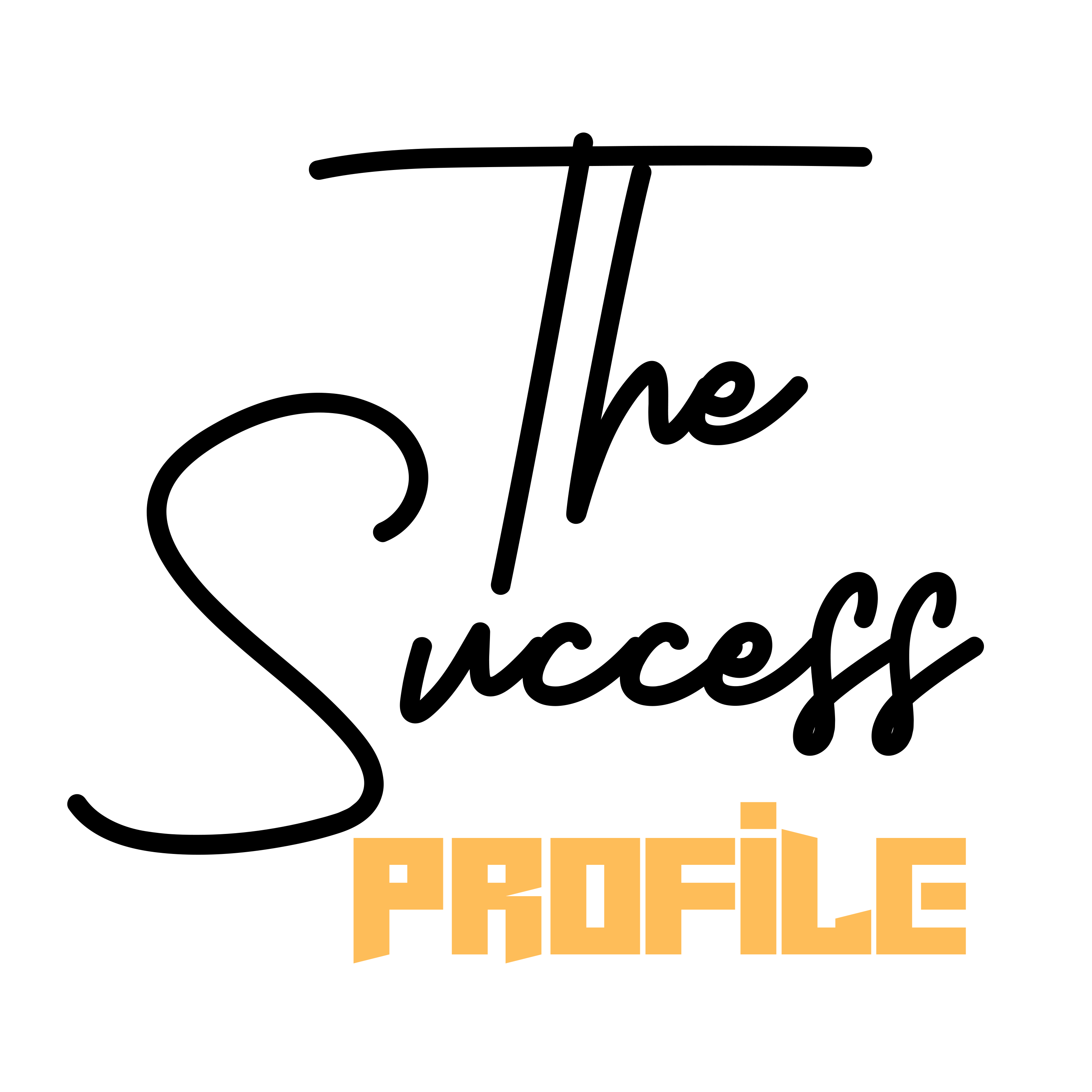 Success Profile